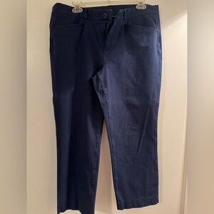 Banana Republic navy blue pants.